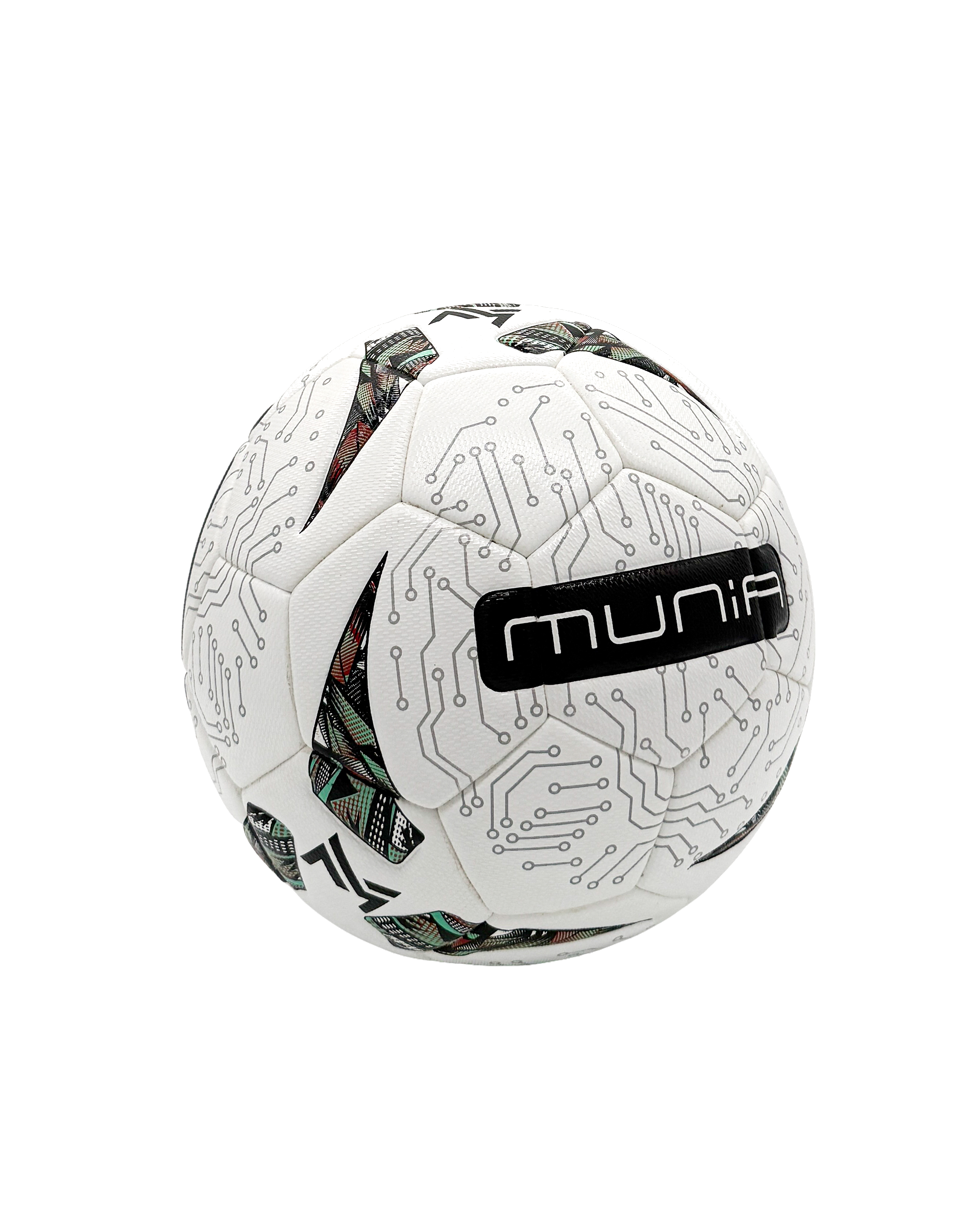 Munia Momentum